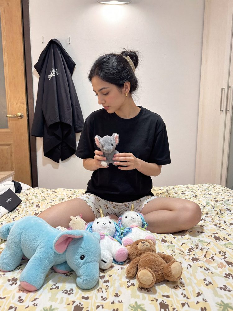 Soft toy meeting